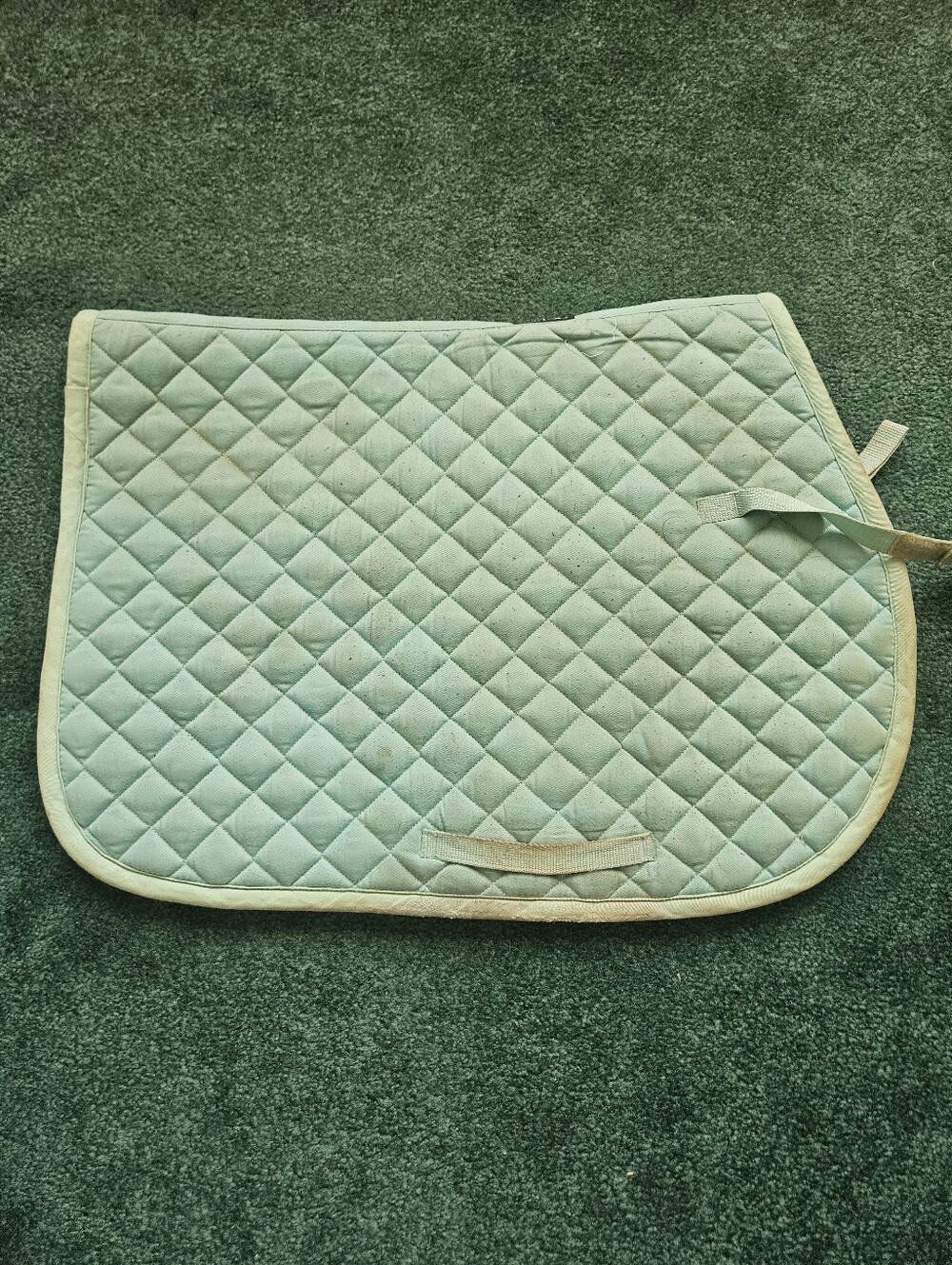 Dover Saddlery Mint All Purpose Pad